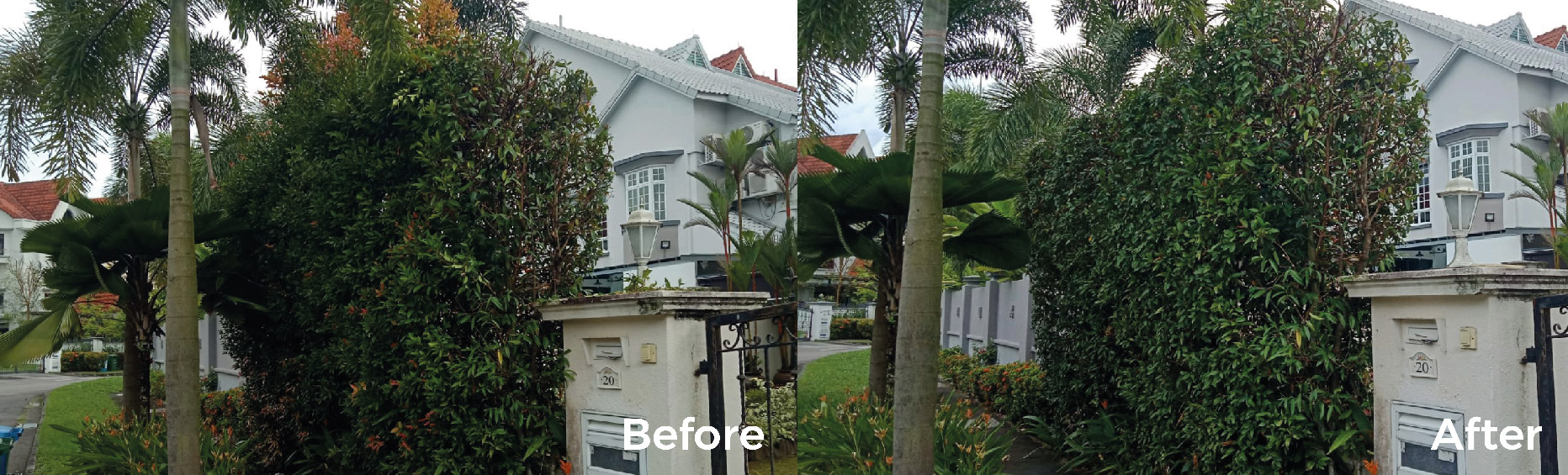tree cutting tree trimming services